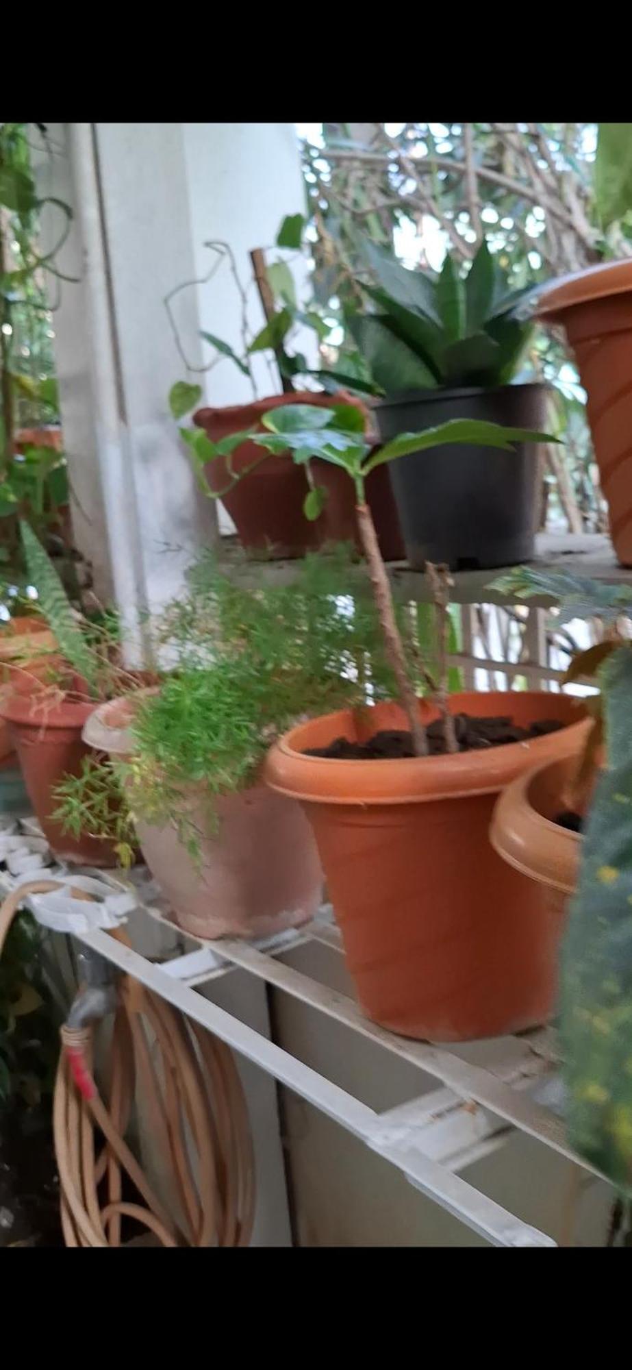 2Bhk Chandra Jyoti Villa Nit Garden Nágpur Exteriér fotografie
