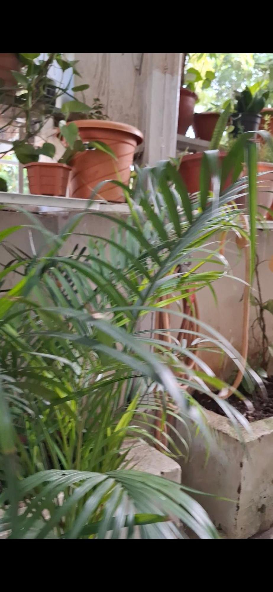 2Bhk Chandra Jyoti Villa Nit Garden Nágpur Exteriér fotografie