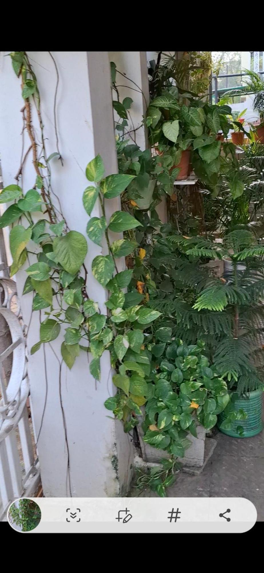 2Bhk Chandra Jyoti Villa Nit Garden Nágpur Exteriér fotografie