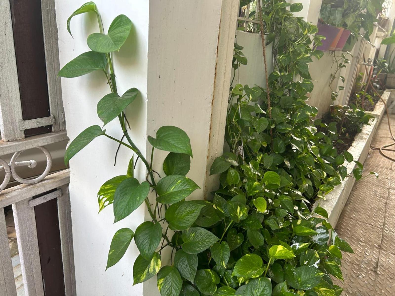 2Bhk Chandra Jyoti Villa Nit Garden Nágpur Exteriér fotografie
