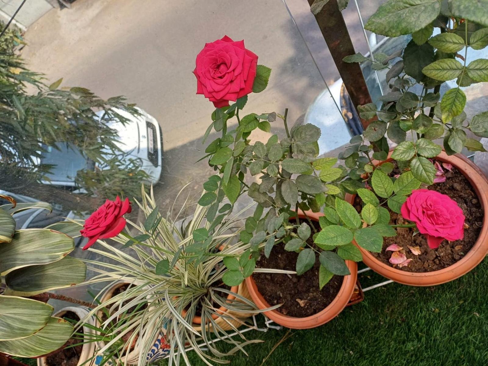2Bhk Chandra Jyoti Villa Nit Garden Nágpur Exteriér fotografie